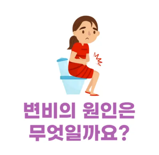 변비의원인