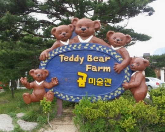 테디베어팜 사진