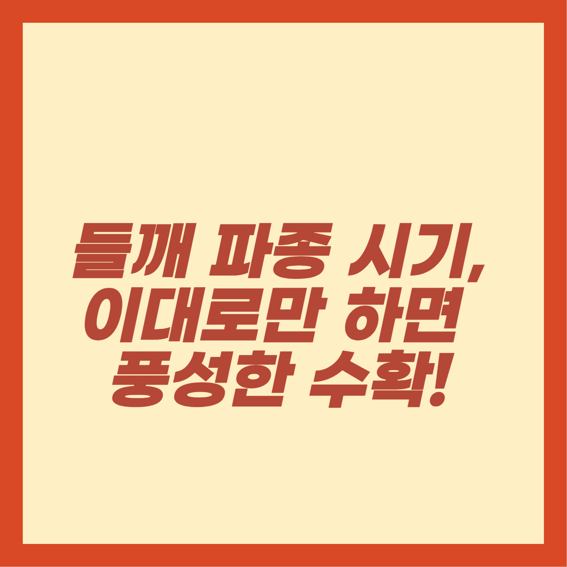 들깨 파종 시기