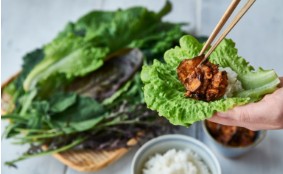 생방송 오늘 아침 아이스플랜트 얼음채소 주문 하기 관련 사진