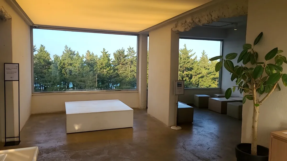 속초-보사노바카페내부-은은한간접등-창밖으로-나무와-바다가보임-