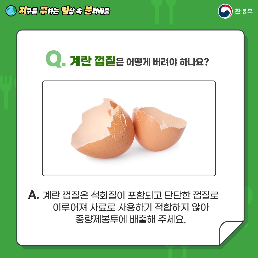 계란껍질 분리배출 사진