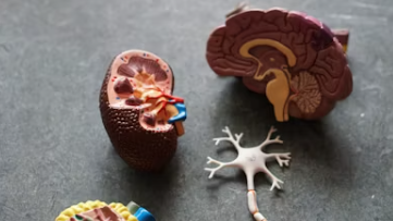 치매 초기증상 8가지 