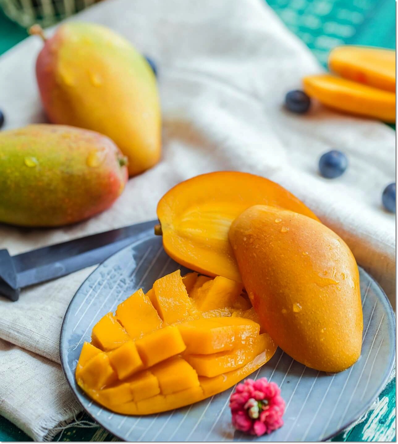 임신 중기 임산부 조심해야 할 음식들