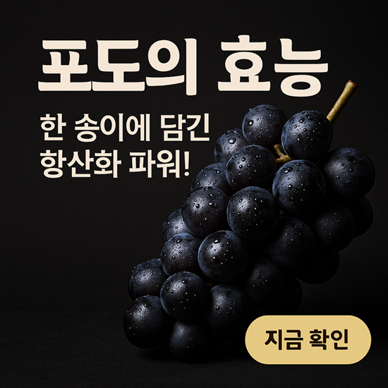 포도 효능
