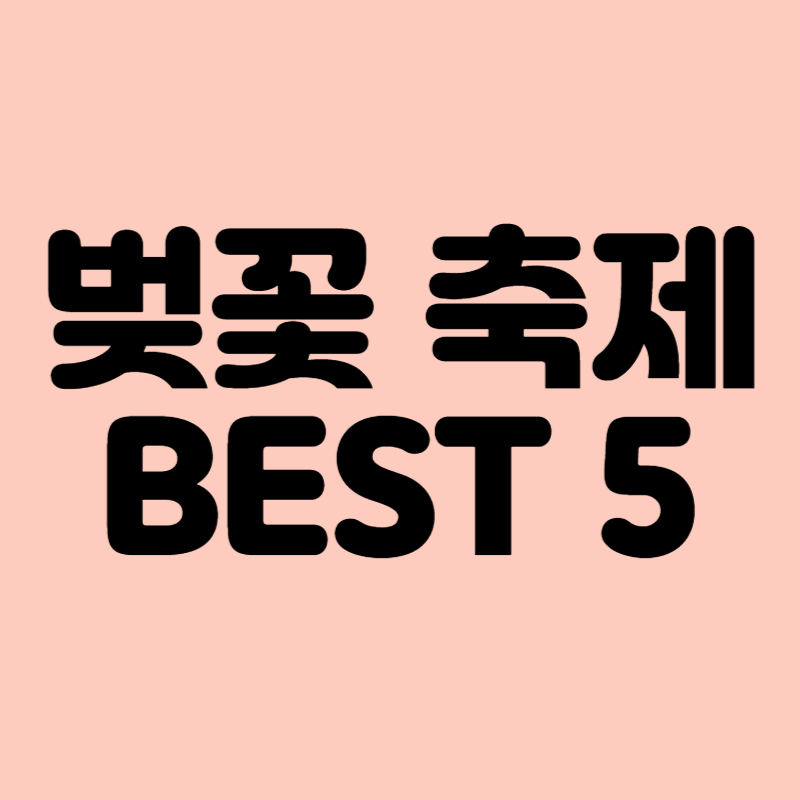 벚꽃 축제