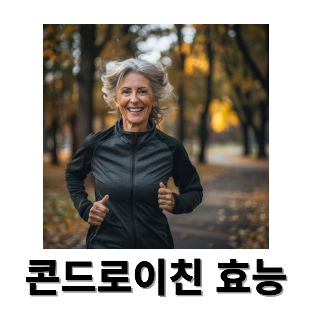 콘드로이친과 관련된 사진입니다.