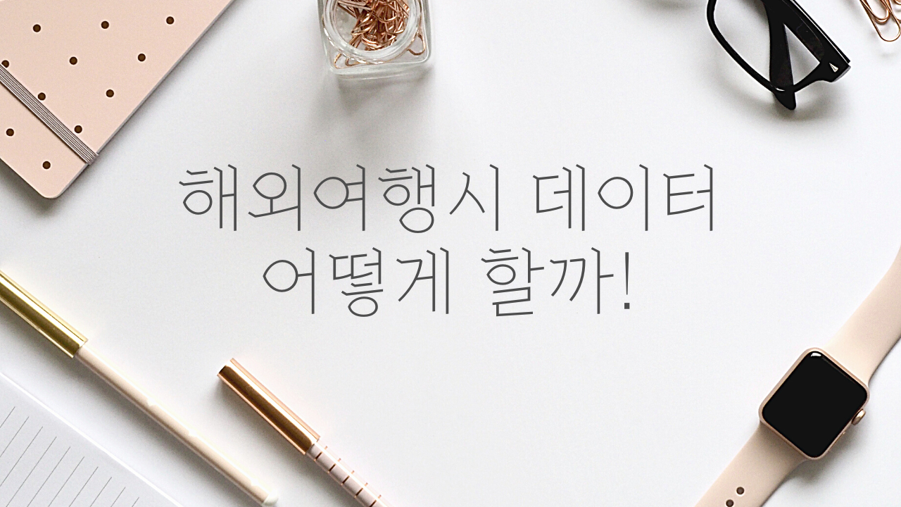 와이파이 또는 유심칩을 할까 해외로밍을 할까 알뜰폰도 해외로밍이 될까