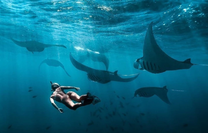 누사렘봉안_누사페니다