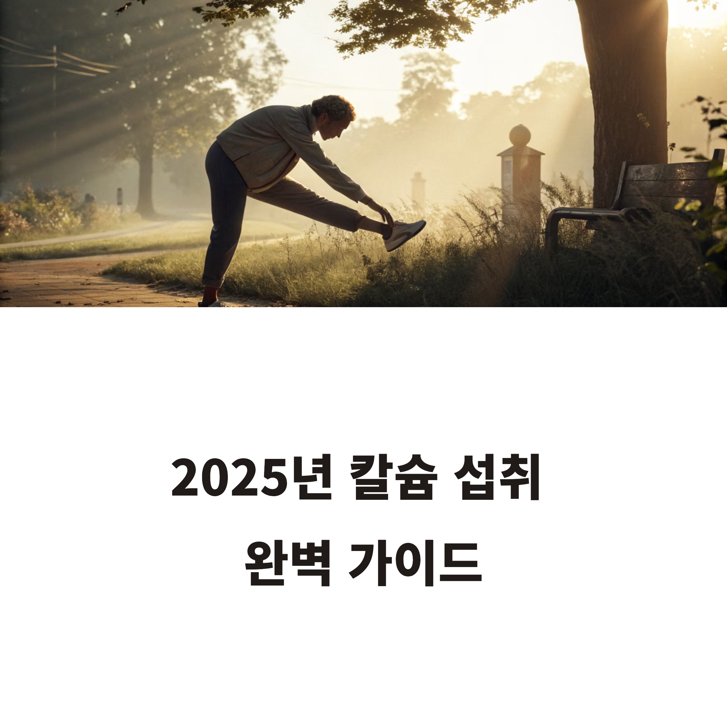 칼슘 섭취 가이드