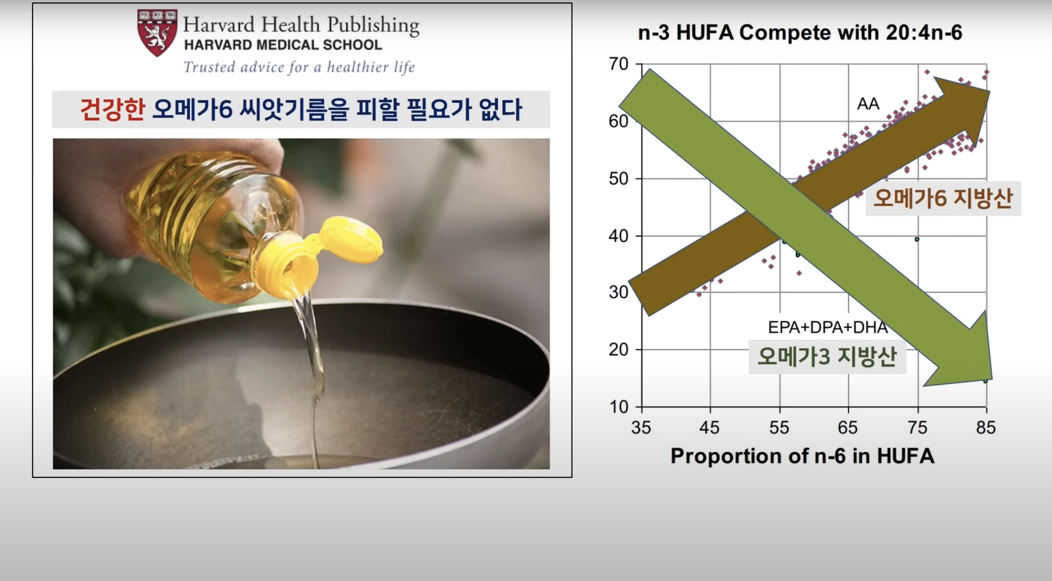 당뇨병 탄수화물 포화지방