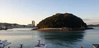 초저조도 식물 추천 빛부족집 관리요령 물주기간격 식물등활용_4