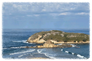 송지호해수욕장