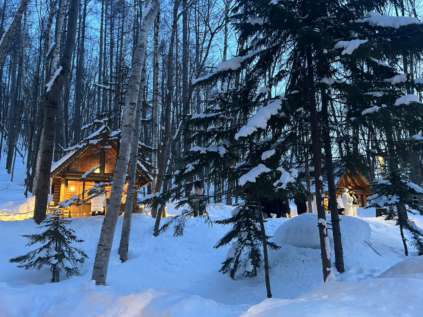 비에이-투어-닝구스테라스-야경-풍경