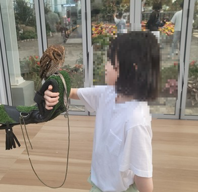  가평 베고니아 새정원 - 아이와 가볼만한 곳 추천&amp;#44; 후기 