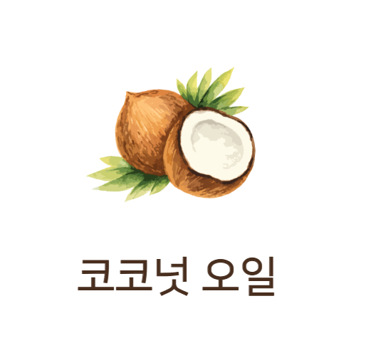 코코넛 오일