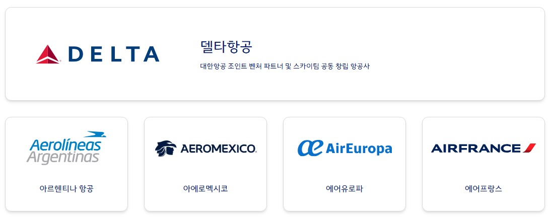 델타, 아르헨티나항공, 아에로멕시코 등 주요 스카이팀 제휴 항공사 목록 안내 이미지
