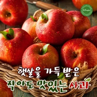 사과 인사 잘못을 바로잡는 표현 상대 마음 다독이는 문장_22