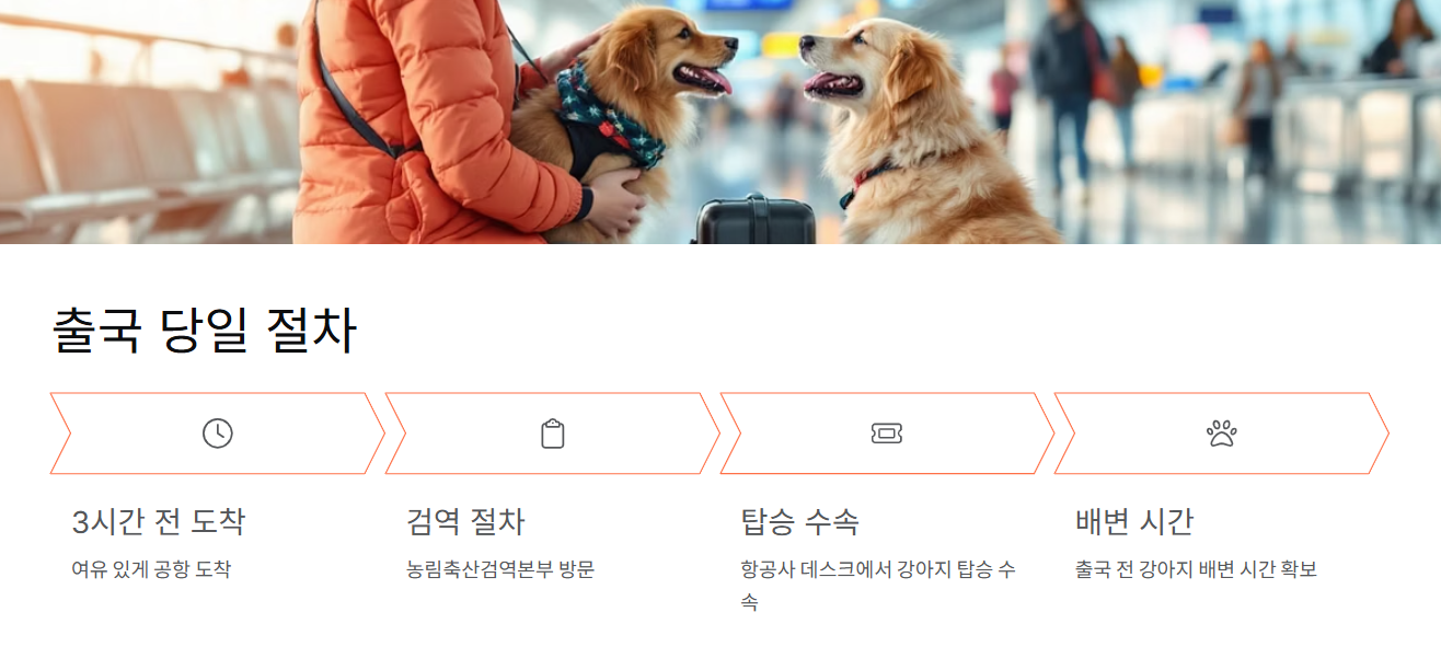 출국 당일 절차