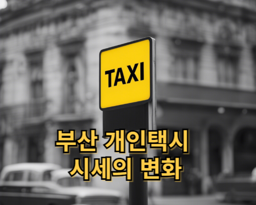 부산 개인택시 시세의 변화