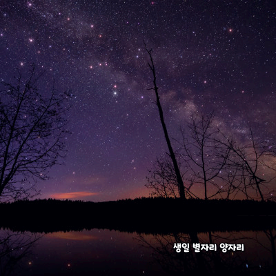 생일 별자리로 알아보는 성격 - 양자리