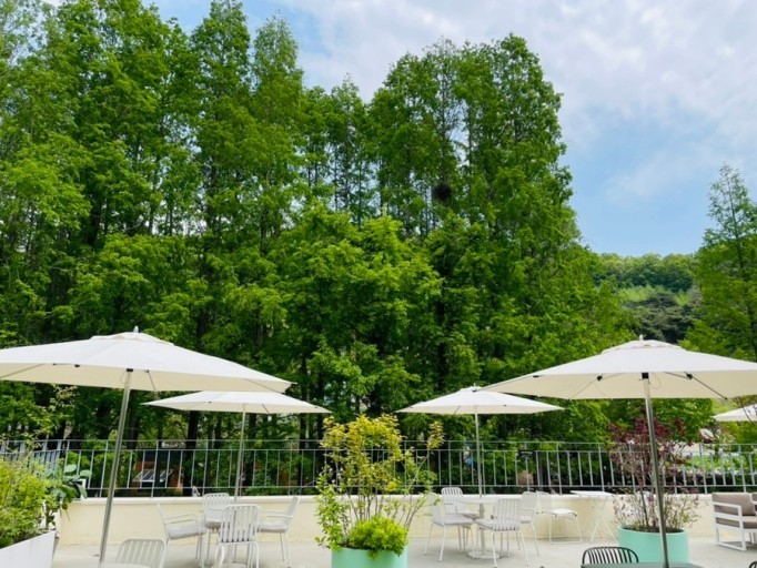 빅트리 카페 실외 사진