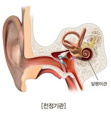 이석증 자가치료법