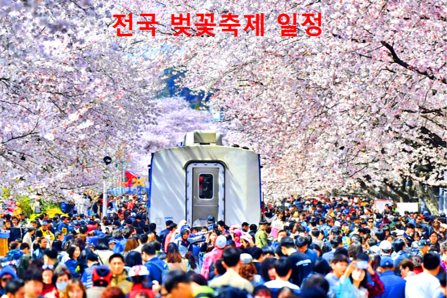 벚꽃축제