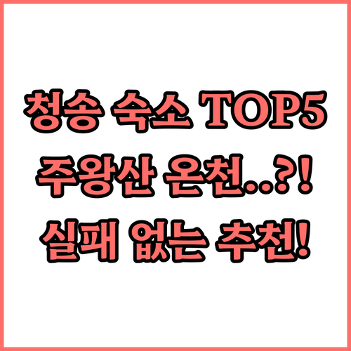 청송 숙소 추천 TOP 5 주왕산 온..
