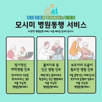 병원 동행서비스 자격증 신청방법 부터 활용까지 2025년 최신으로 안내서_9