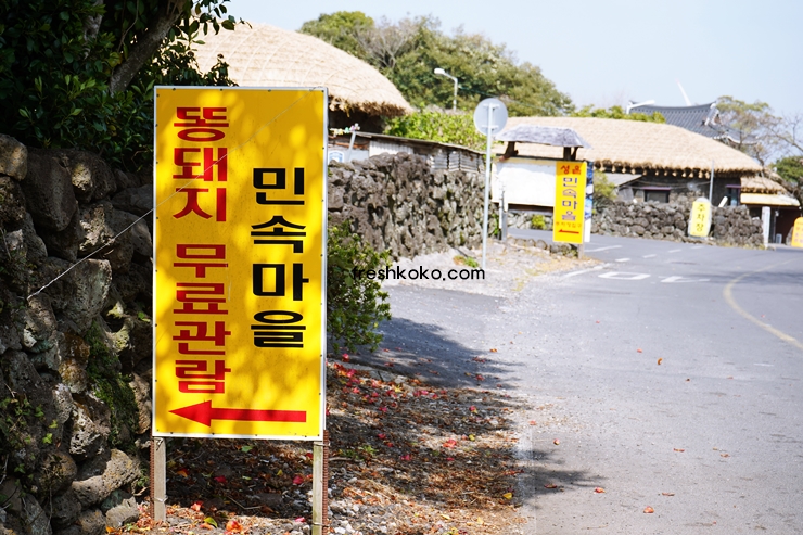 제주도 가볼만한곳 10곳