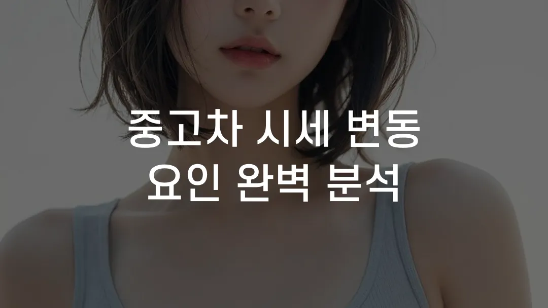 중고차 시세 변동 요인 완벽 분석