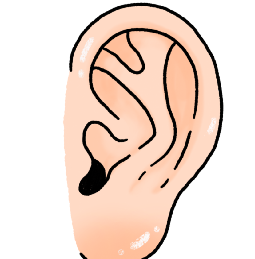 프랭크증후군-사진8