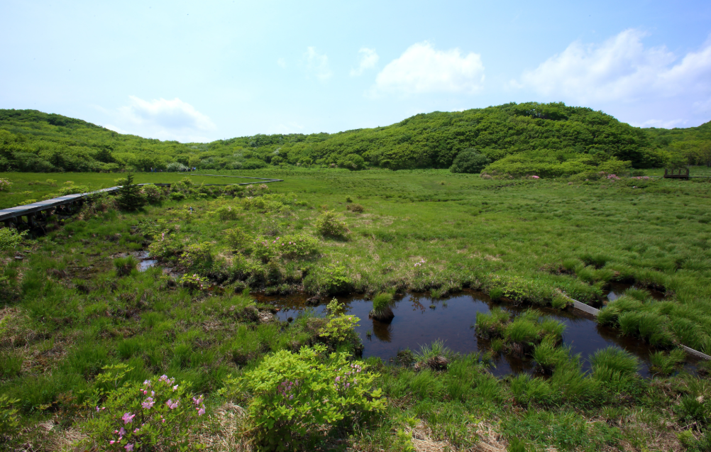 대암산 용늪12