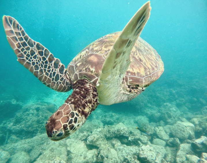 세부 로컬페이지 투어 후기
