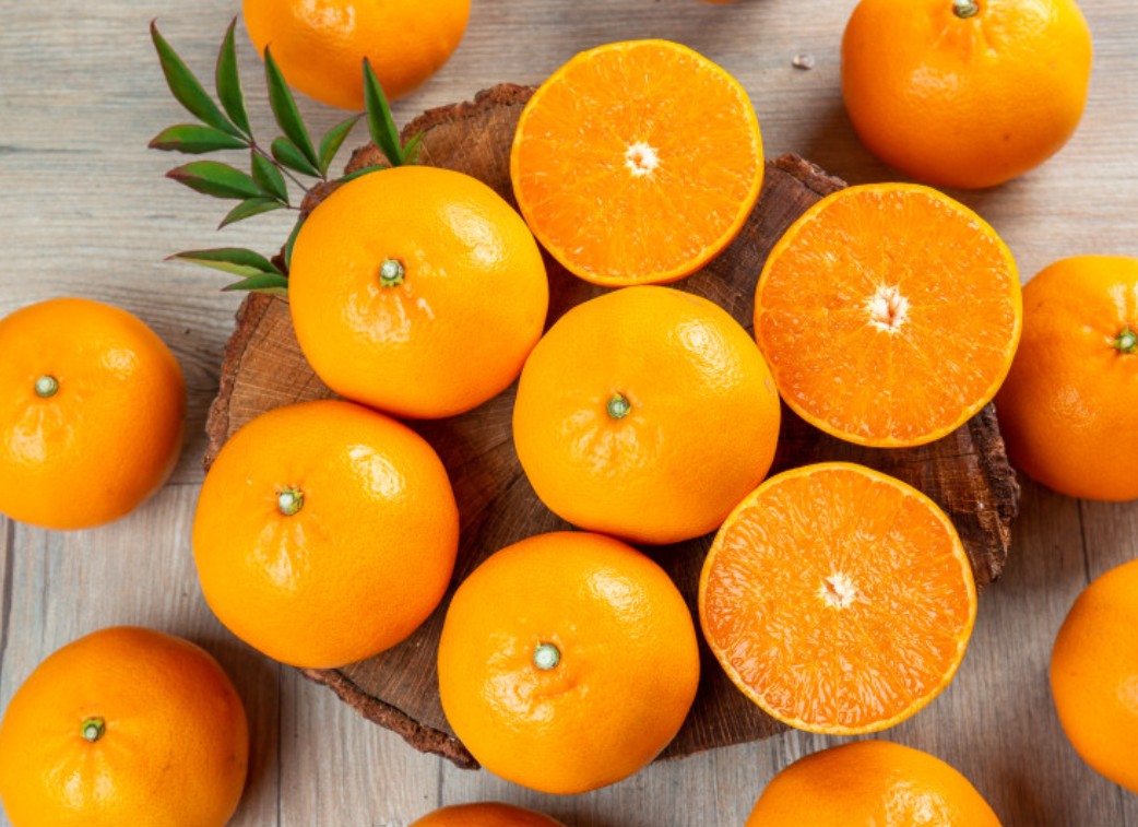 🍊 한라봉, 천혜향, 레드향… 뭐가 다른지 모르겠다면?