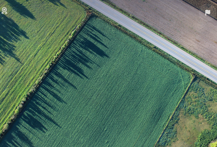 2050년, 스마트 농업의 미래 – AI, 드론, 도시 농업의 혁신