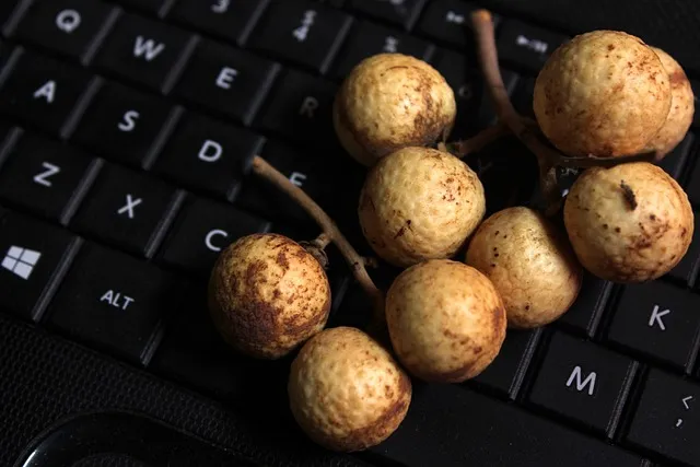 여주 가볼만한곳 베스트10 완벽 관광 가이드_7