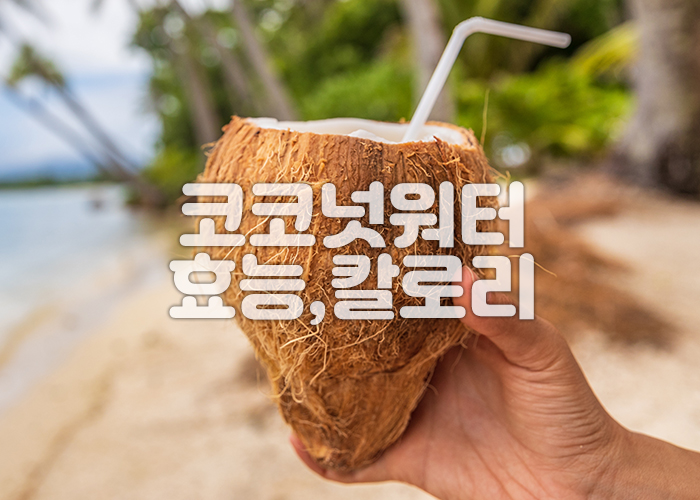 빨대가 꽂혀있는 코코넛을 들고 있다