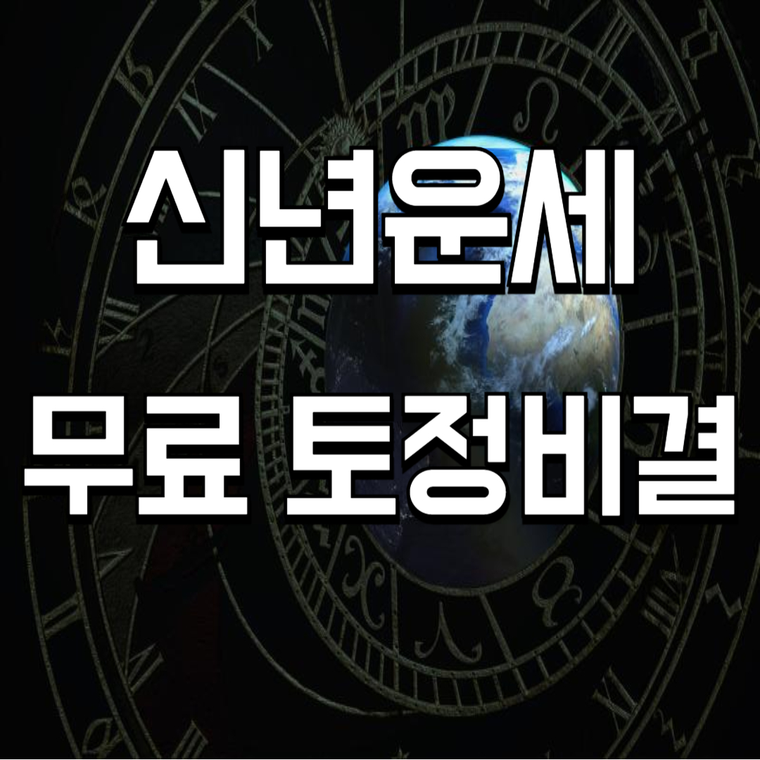 2025 신년운세 무료토정비결 🍀