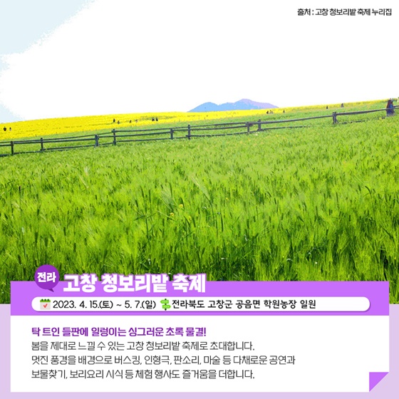 4월 추천 지역 축제