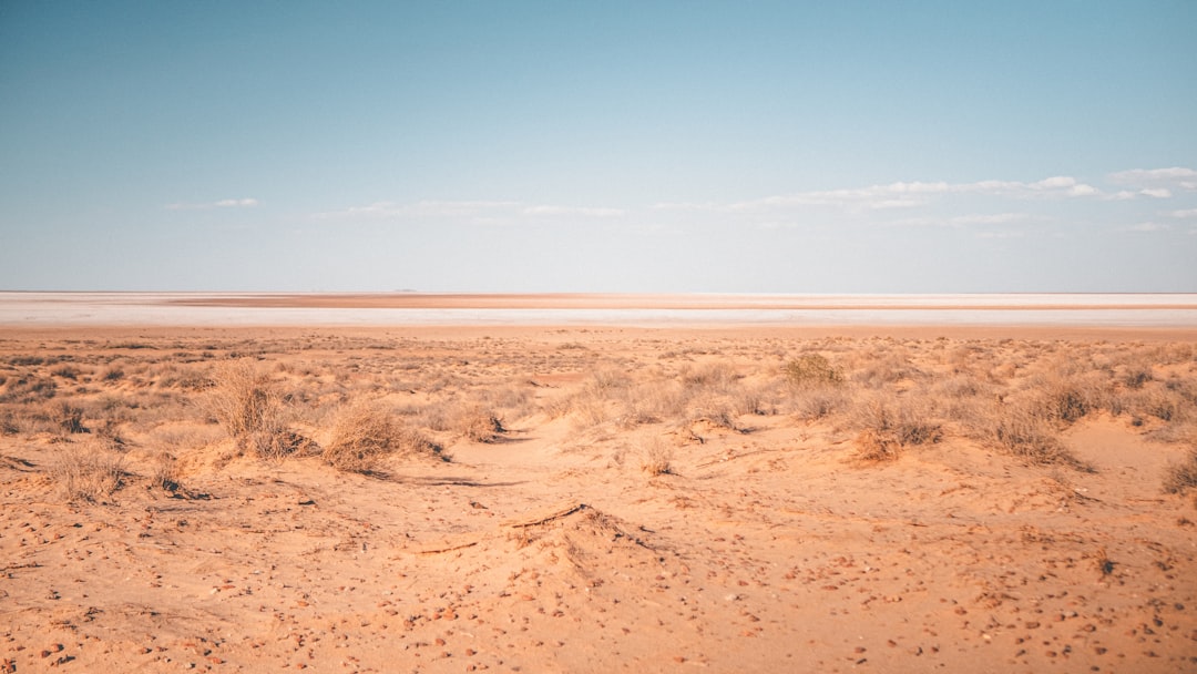 Outback