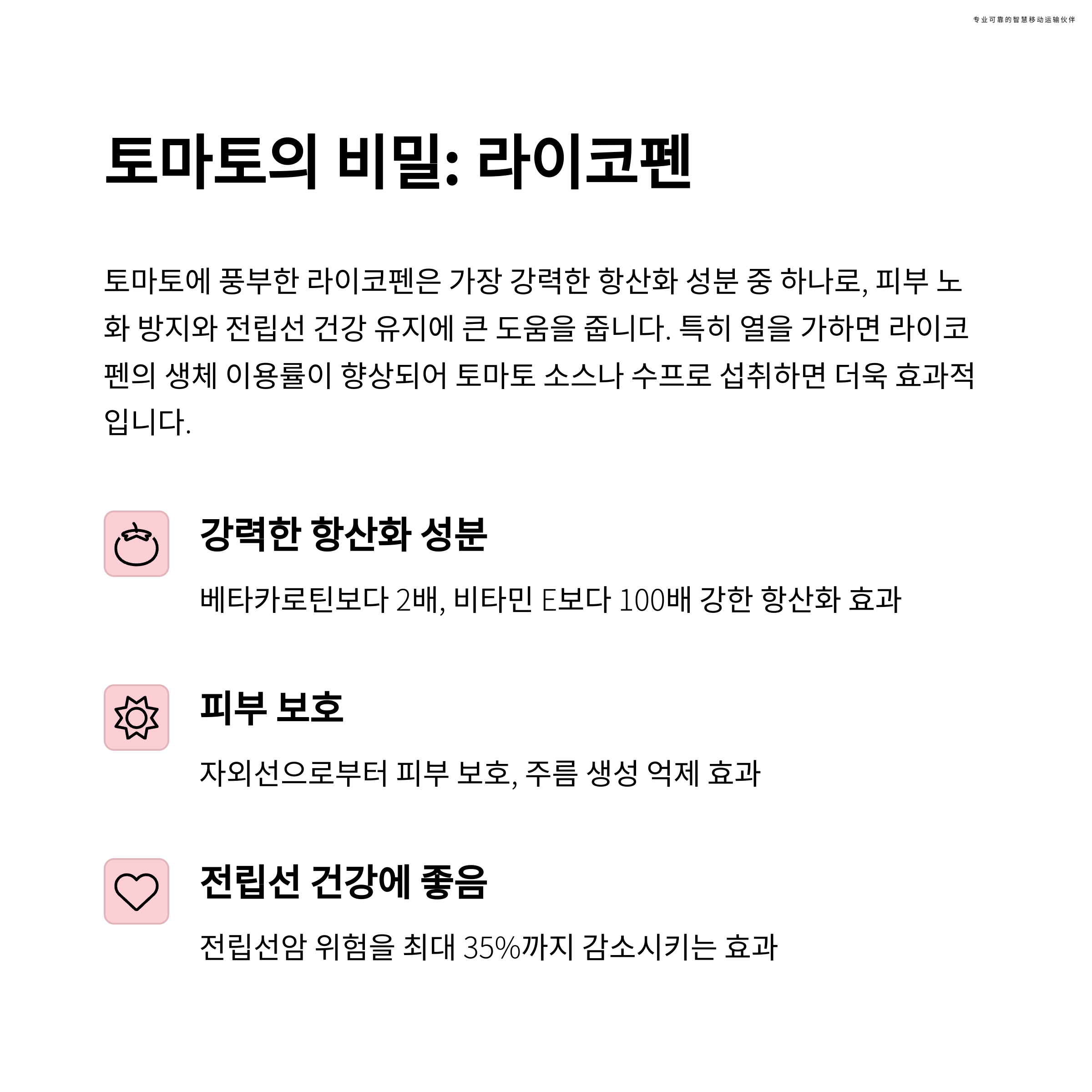 항산화물질7