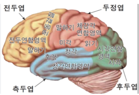 ์๋์ด ์ ์ฐ์ ์ด๋, ๊ฑด๊ฐ ์๋ช
์ ๋๋ฆฌ๋ ์ต๊ณ ์ ์ต๊ด
