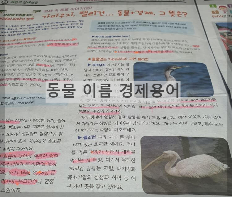 동물 이름 경제용어