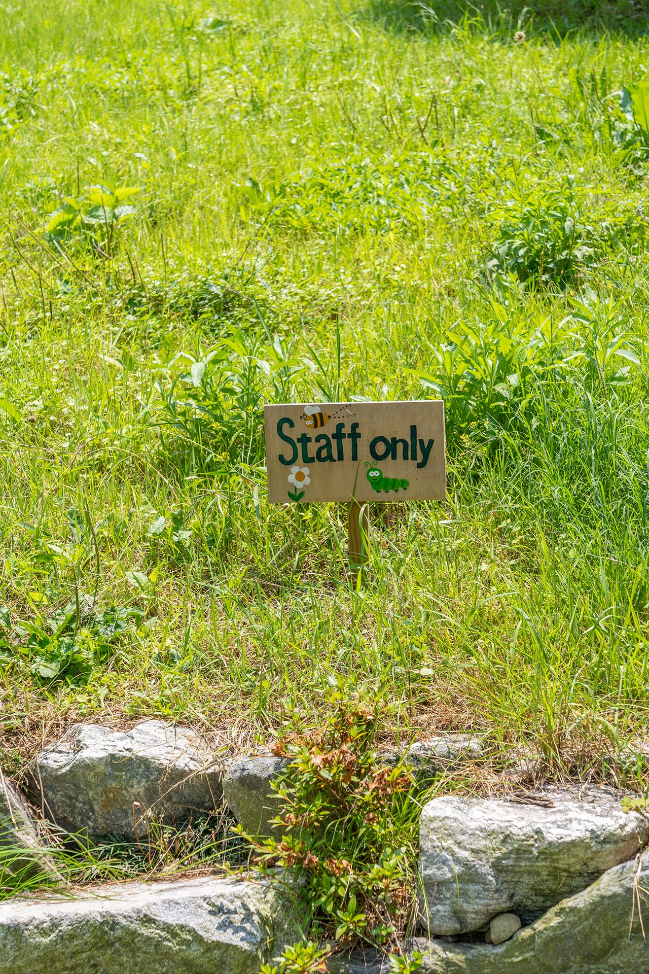 괴정 카페 만디 야외