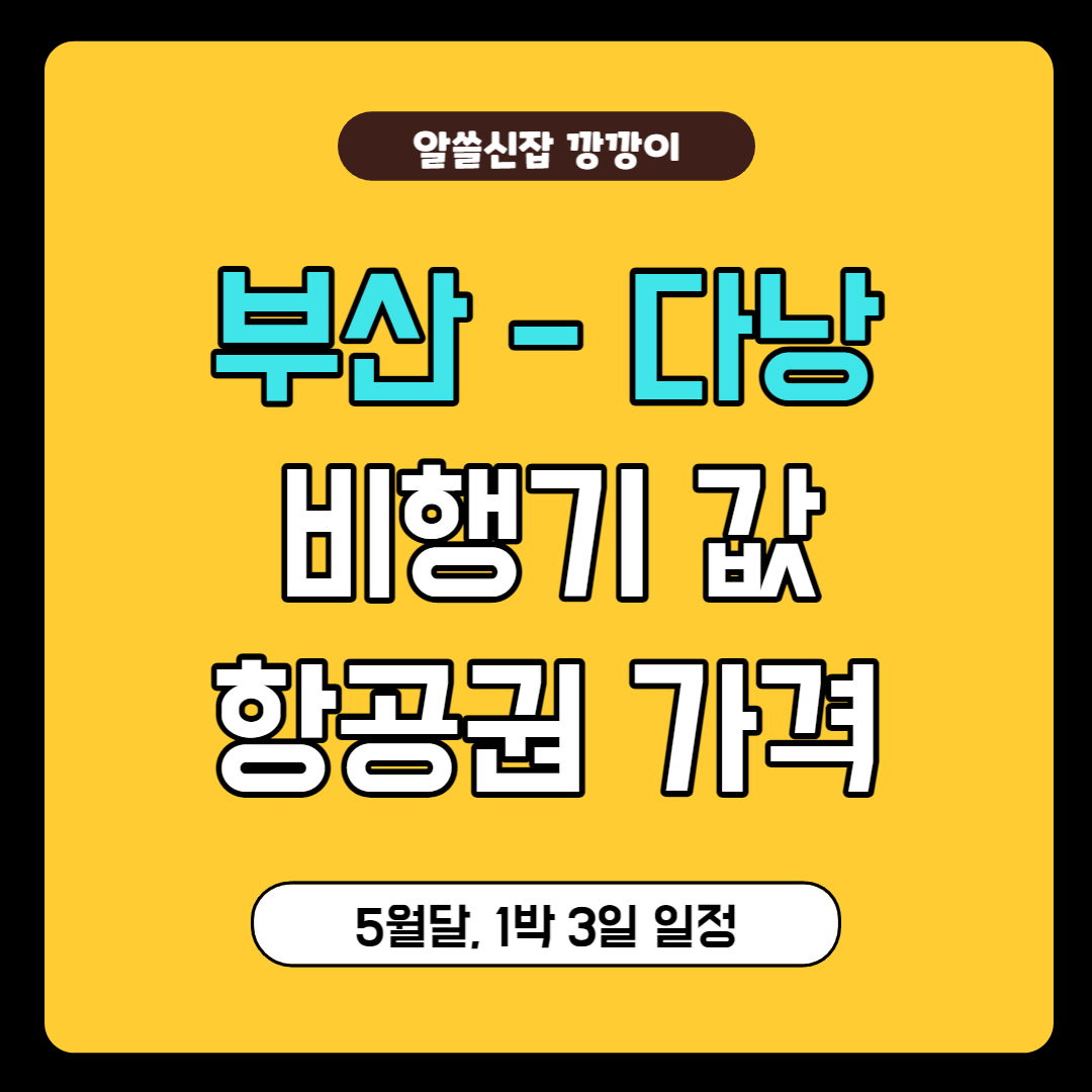 부산 다낭 비행기 값