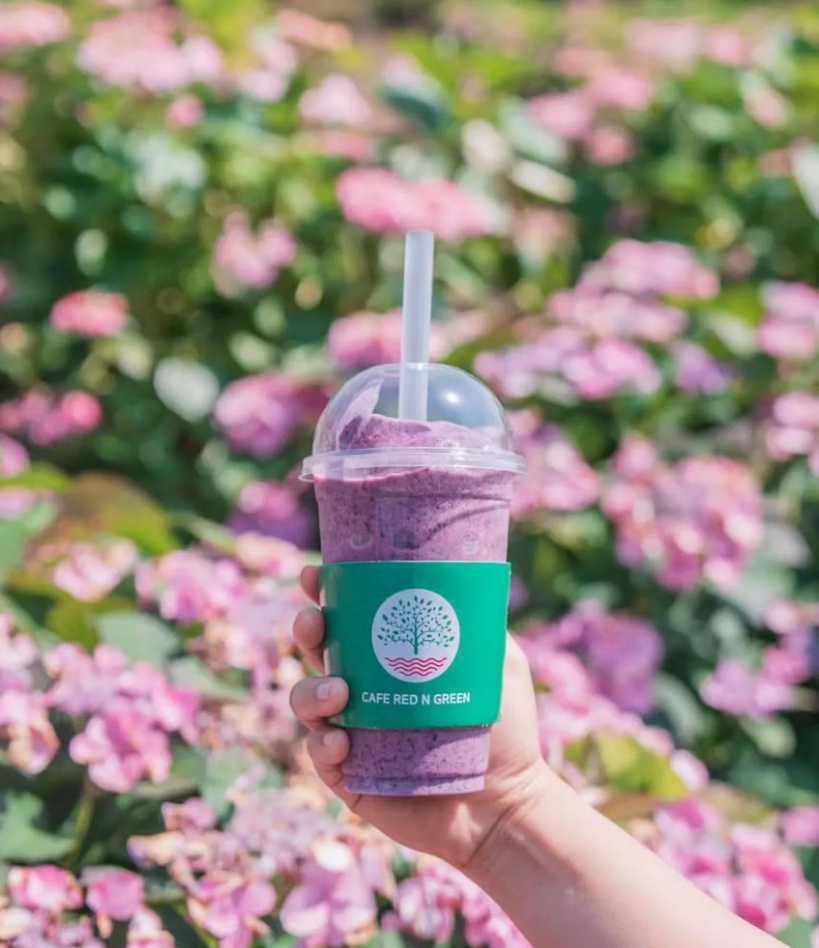 휴애리 수국축제