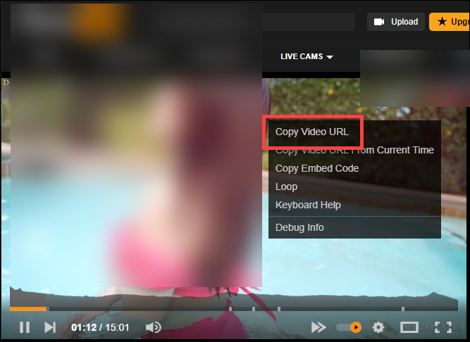 폰허브 영상 url 복사
