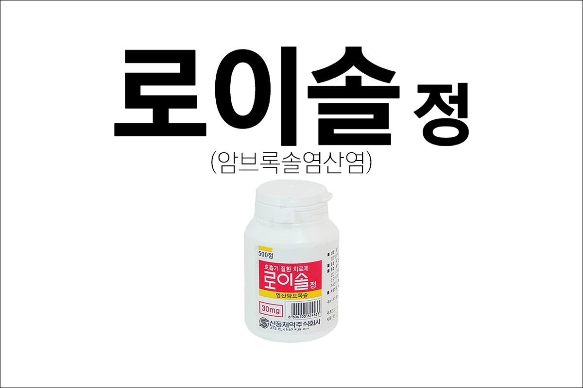 거담제 로이솔정(Roisol Tab)